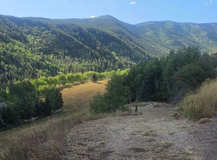 449 McLaughlin Ln, Basalt, CO 81621