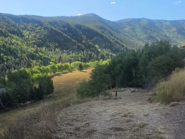 449 McLaughlin Ln, Basalt, CO 81621