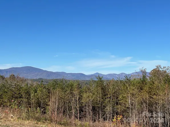 483 Big Level Rd, Mill Spring, NC 28756