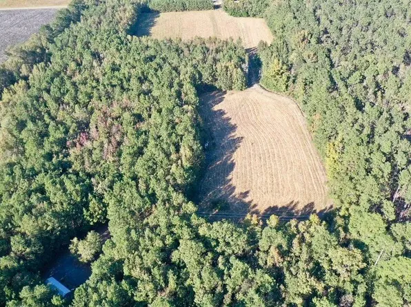 1040 Newton Corner Rd, Estill, SC 29918