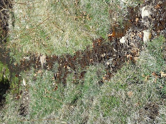 3rd image of 88 Colorado Land Grazing