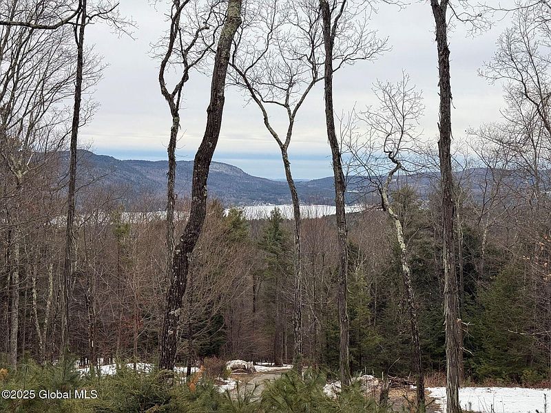 2nd image of L43.2 Travis Trail