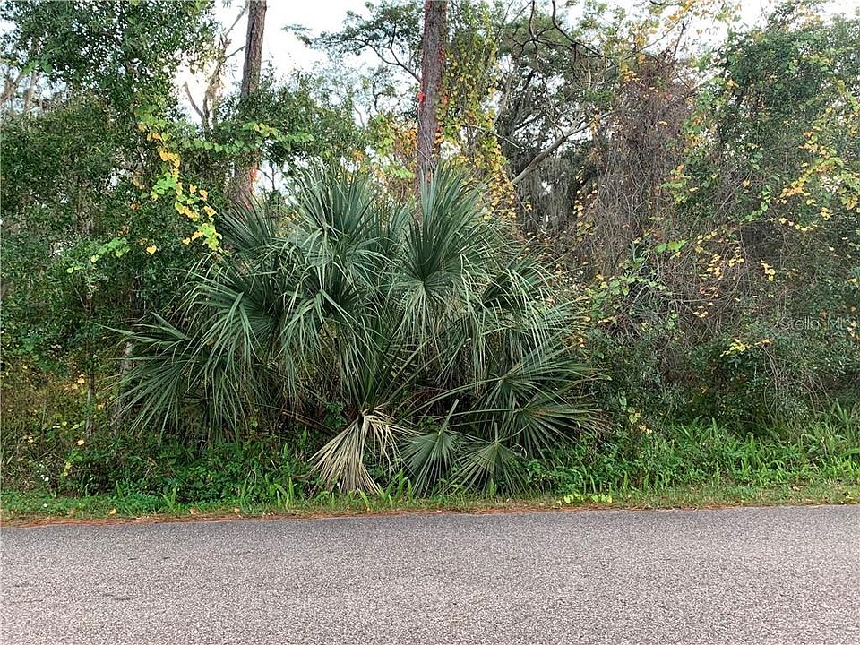 2nd image of Washington Ave