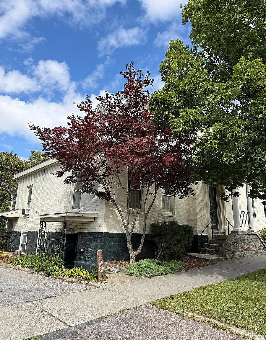 404 Pearl St — Photo 4