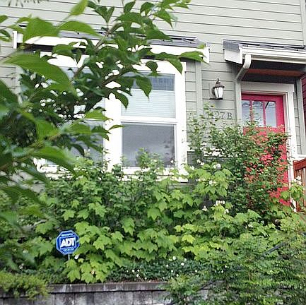 Lots of Native Plants!