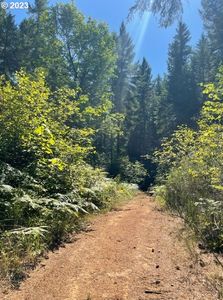 22481 W Sheffler Rd, Noti, OR, 97461