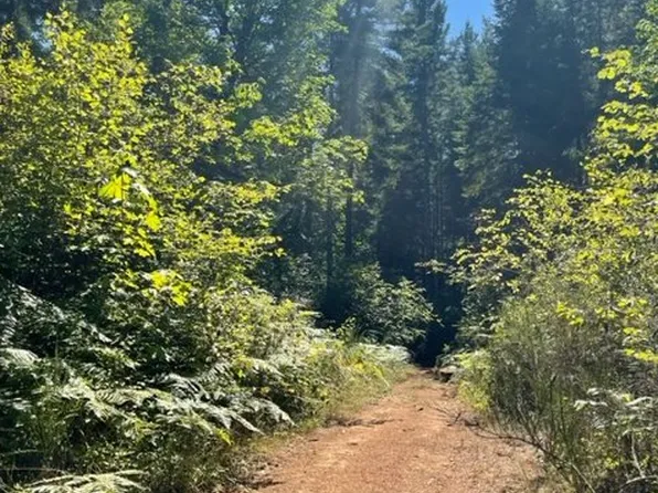 22481 W Sheffler Rd, Noti, OR 97461