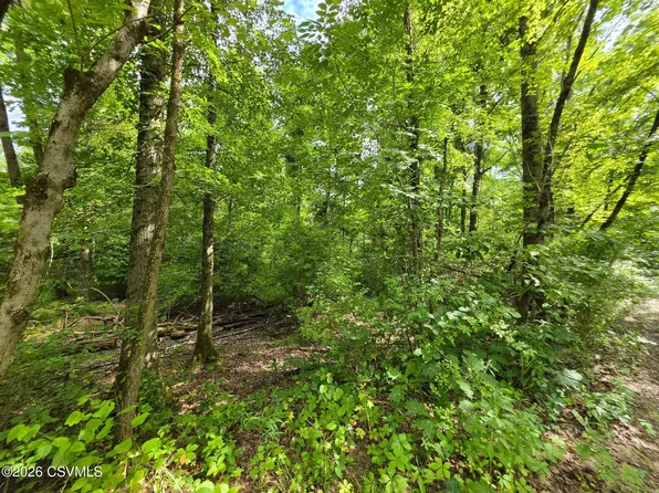 6102 Troxelville Rd, Beavertown, PA 17813