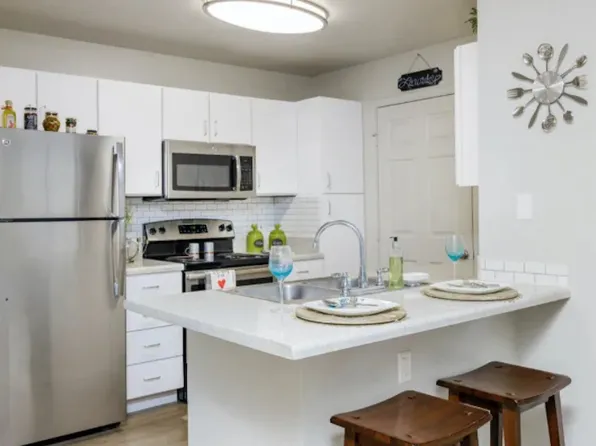 The Lory of Tallahassee