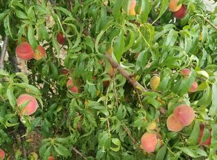 105 Amanda Ln, Springtown, TX 76082