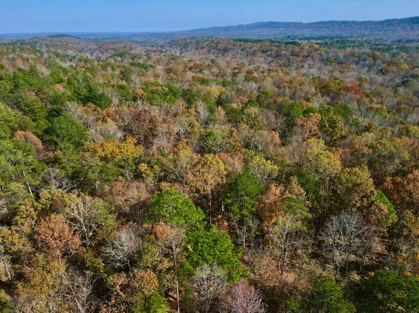 0 Mimosa Rd, Leeds, AL 35094