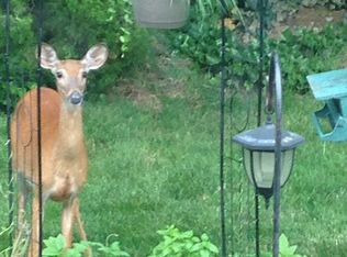 114 Chessie Ct, Chester, MD 21619