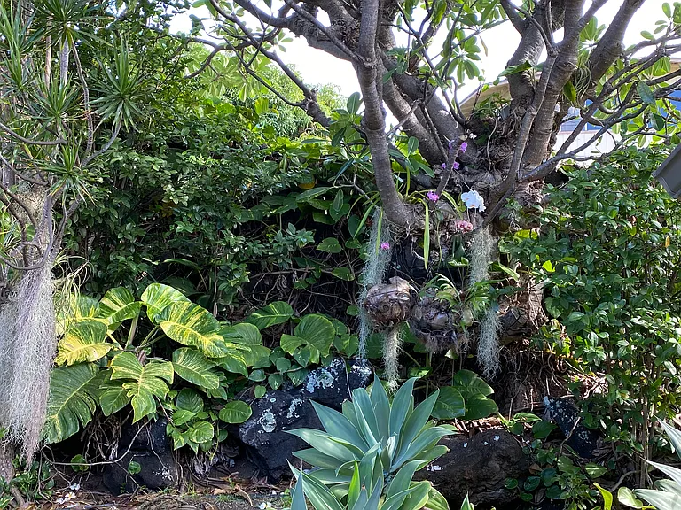 Mott Smith Dr — Photo 9