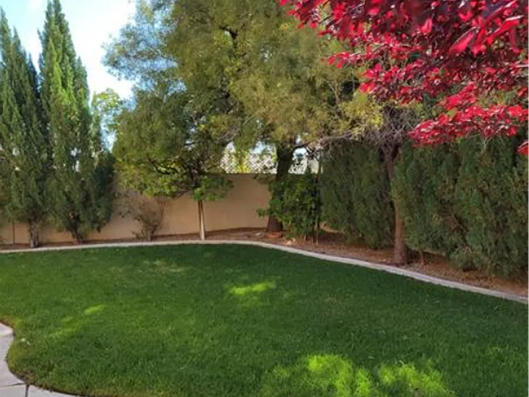 10509 Horseshoe Falls Ct — Photo 4