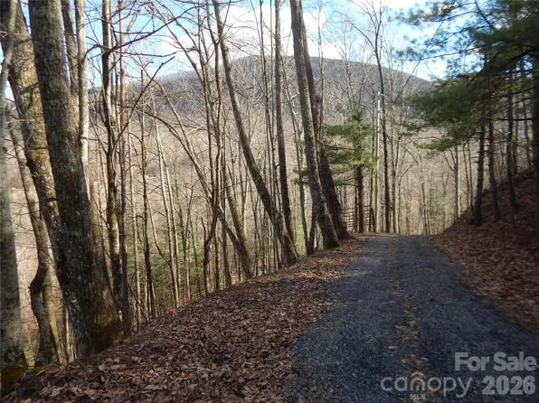 0 Hoot Owl Bill Rd, Maggie Valley, NC 28751