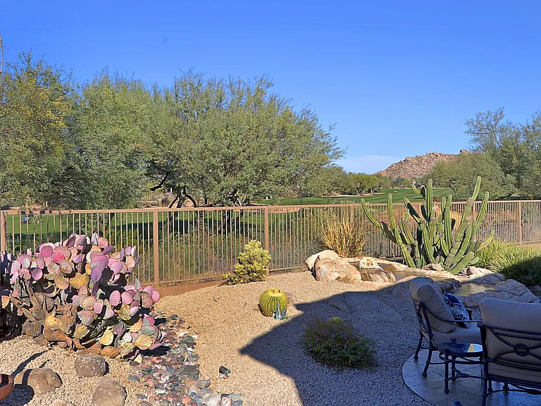 6894 E Thirsty Cactus Ln — Photo 41