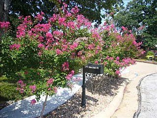 2nd image of 3907 San Luis Ct