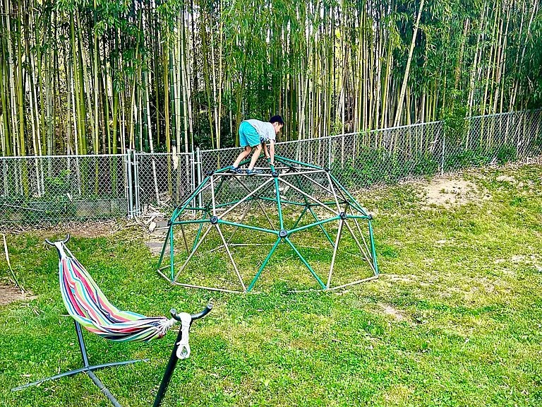 Backyard. Outside the fence is a small hill with a dense bamboo forest, offering natural protection for the peace and quiet of the house.