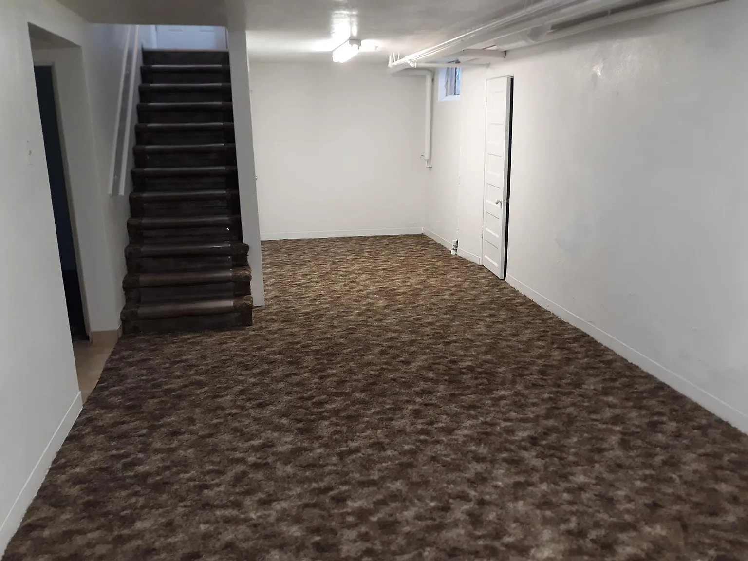3 bed, 1600 sqft, $2,695 — Photo 4