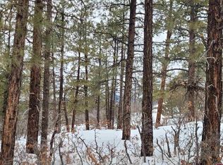 3150 Crooked Rd, Pagosa Springs, CO 81147