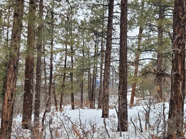 3150 Crooked Road, Pagosa Springs, CO 81147