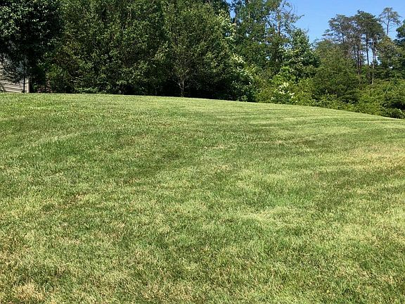 3rd image of 208 Twinleaf Ln Lot 45