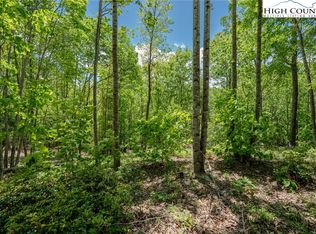 0 Beaver Dam Rd, Elk Park, NC 28622