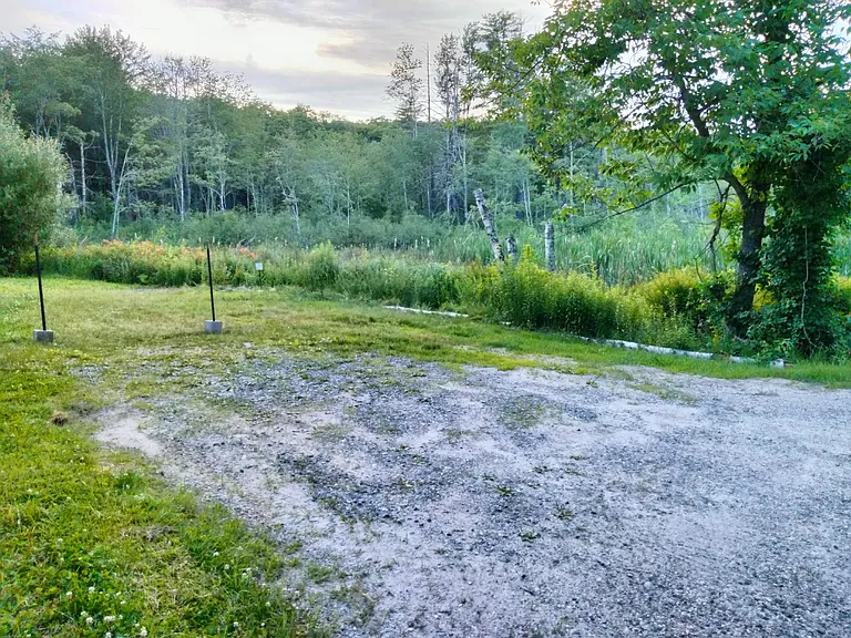 Driveway/Yard