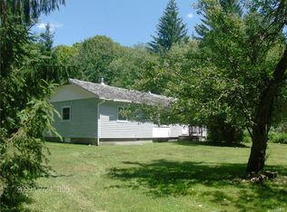 121 Jug Tavern Rd, Downsville, NY 13755