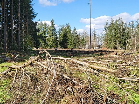 2nd image of 444 Meier Road