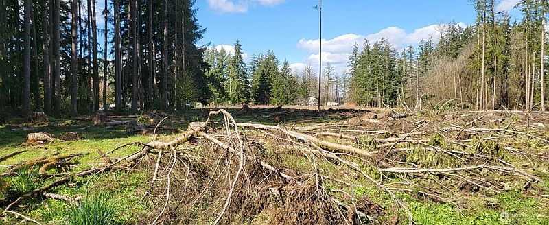 2nd image of 444 Meier Road