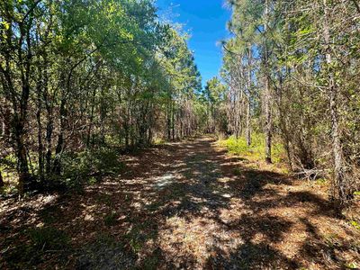 1 SW Federal Rd, Lamont, FL, 32336