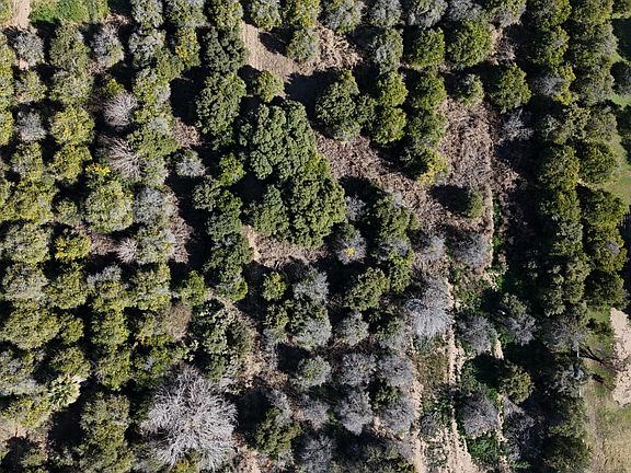 5th image of 24XXX S Power Road #-