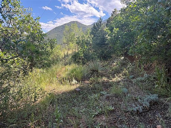 2nd image of 312 Upper Sun Valley Ln