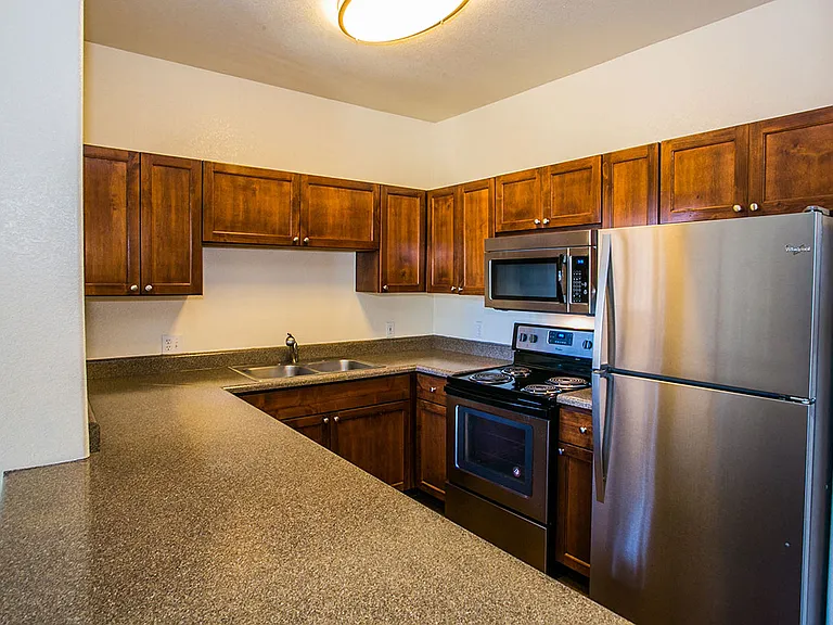 Stainless Steel Appliances*