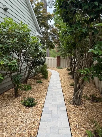 Newly landscaped backyard