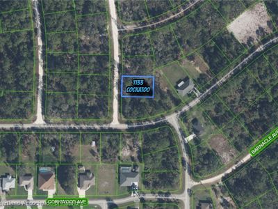 1133 Cockatoo Ave, Lake Placid, FL, 33852