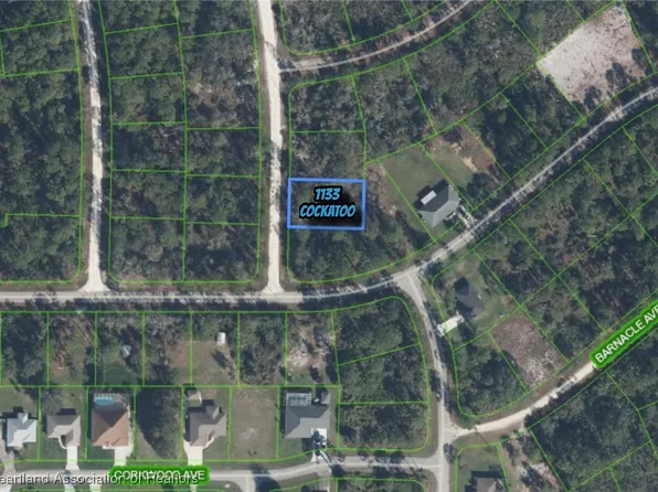 1133 Cockatoo Ave, Lake Placid, FL 33852