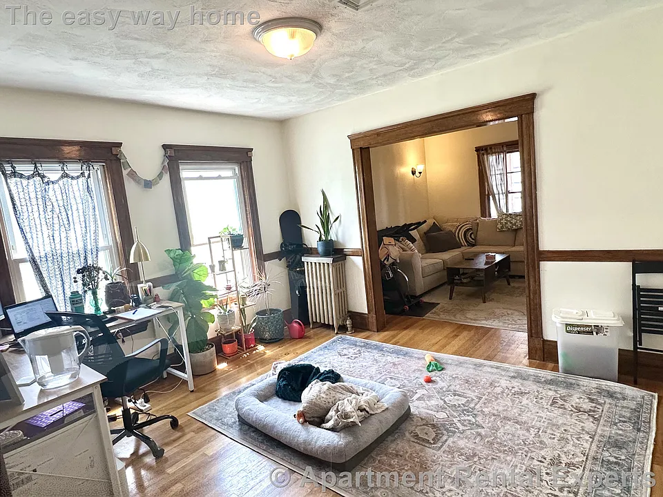 Apartment Rental Experts