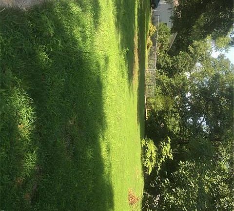 Side Yard. Ready for volleyball?