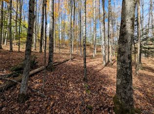 Akins Rd, Cohocton, NY 14826