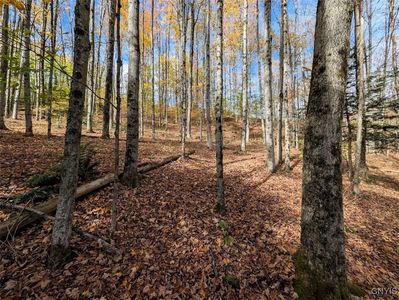 Akins Rd, Cohocton, NY, 14826