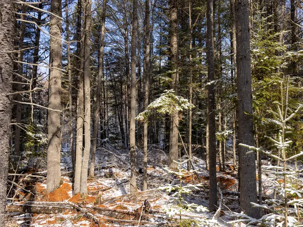 M11L3 Stud Mill Road, Milford, ME 04461