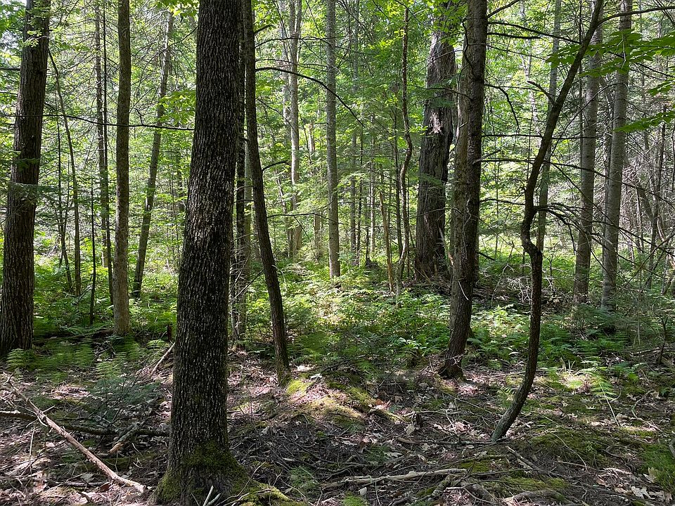 2nd image of Lot 6 Holmes Brook Lane