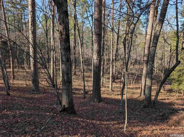 30 Montijo Way, Hot Springs Village, AR 71909