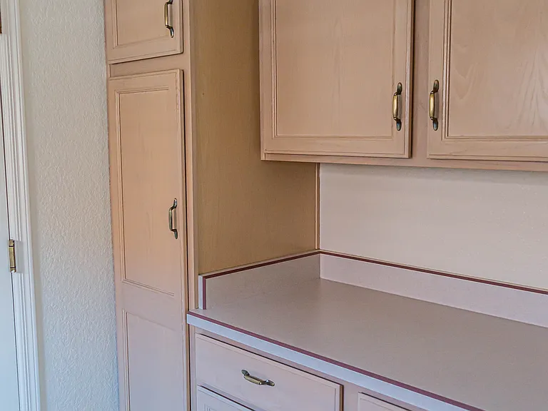 11146 N Desert Flower Dr — Photo 16
