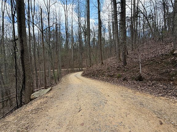 3rd image of 4.1 Reece Hollow Rd
