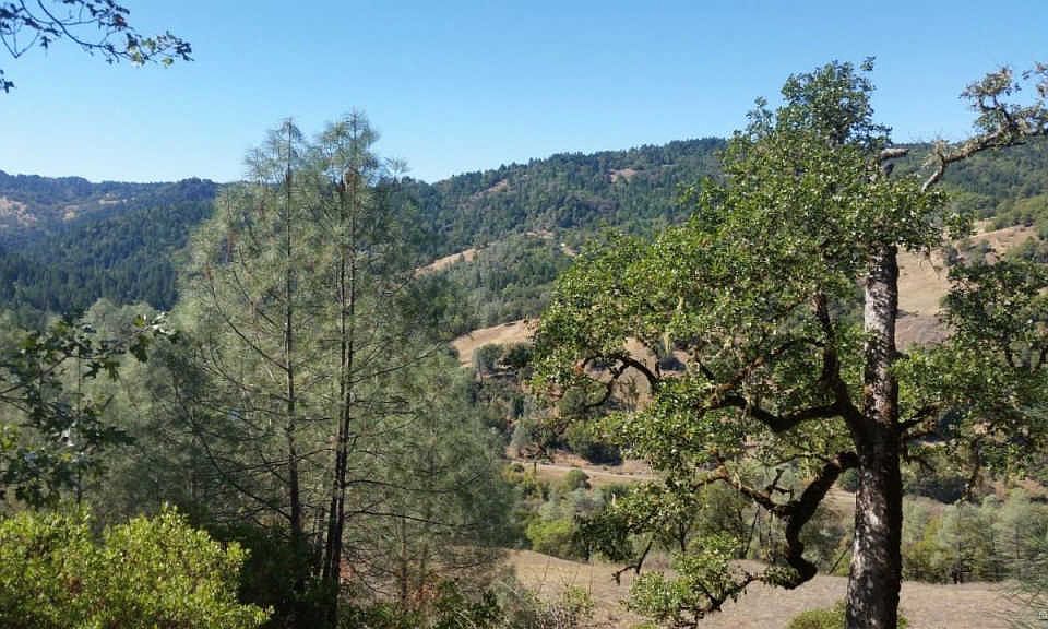 2nd image of 36905 Covelo Rd