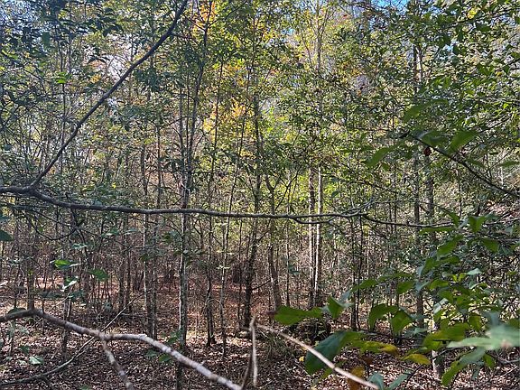 3rd image of 0 Gore Store Rd