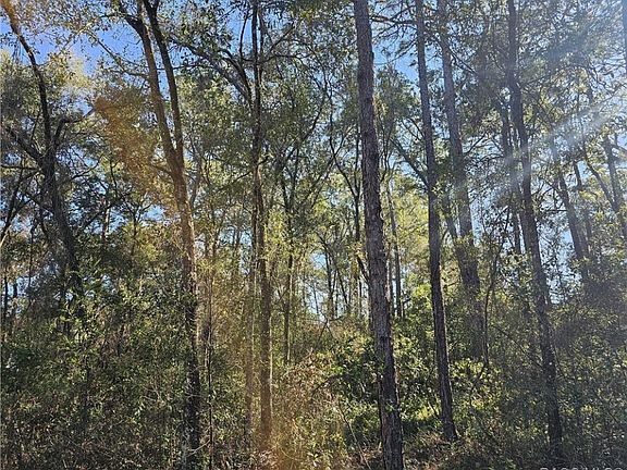 4th image of 6342 E Glover St